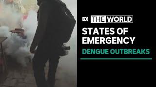 Puerto Rico becomes latest place to declare dengue emergency | The World