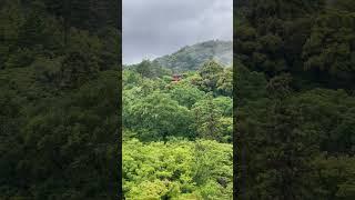 #koyasunotopagoda #kiyomizudera #kyoto #japan #tourism #travel