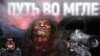  ЧЕРНЫЕ ДИГГЕРЫ S.T.A.L.K.E.R. Путь во Мгле #5