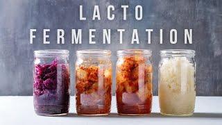 Simple guide to fermentation