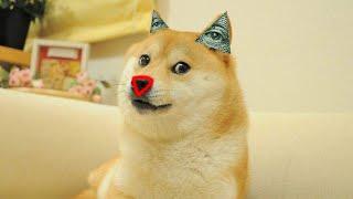 illuminati doge