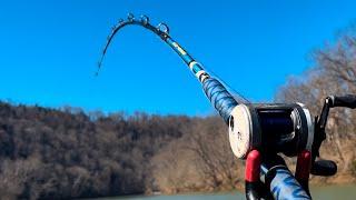 Huge Fish live In This Small Remote River | Big Fish Caught!