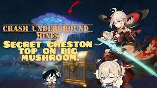 secret chest on the top of big mushroom ( Chasm underground mines) genshin impact