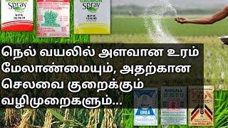 நெல் உரம் மேலாண்மை மற்றும் குறைந்த அளவு உரம்,குறைந்த செலவுவில் சாகுபடி முறைகள் Paddy low fertilizer.