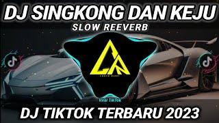 DJ SINGKONG DAN KEJU SLOW REVERD VIRAL TIKTOK 2023 FULL BASS || DJ INI YANG KALIAN CARI!!