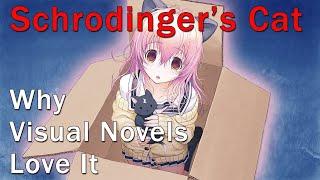 Visual Novels and Schrodinger's Cat | TOP uses of Schrodinger's Cat in VNs