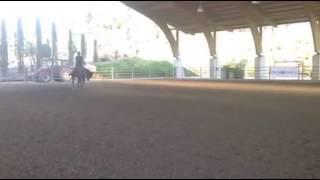 Gennaro Lendi's training with Yankee Gun for the FEI World Championship in Givrins (SUI)