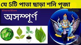 শনিবার শনিদেবের পূজা নিয়ম বিধি যে 5টি পাতা অর্পণে গ্রহরাজ খুশি হয় সাড়ে সাতি গ্রহদোষ | Shani Puja