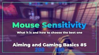 How you can find the PERFECT Sensitivity for FPS Games