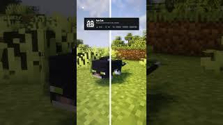 Minecraft BEST Texture Packs #shorts