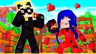 LE MARIAGE DE LADYBUG ET CHAT NOIR SUR MINECRAFT !