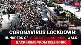 Coronavirus Lockdown: Hundreds of migrant labourers walk back home from Delhi NRC