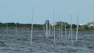 Do these white poles mark fishing spots or dangerous hazards? | Louisiana Inshore Fishing Tips