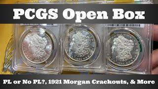 PCGS Open Box - PL or No PL?, 1921 Morgan Crackouts, & More Coins