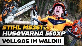  Vollgas im Wald  - STIHL MS 261 C vs. Husqvarna 550 XP Mark II