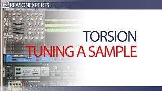 Torsion Rack Extension | Tuning a sample | Reasonexperts