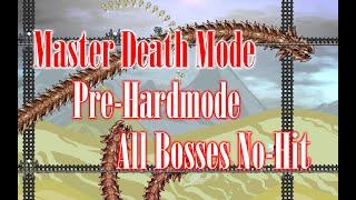 【Calamity Mod 2.0.4.1】Pre-Hardmode All Bosses No-Hit