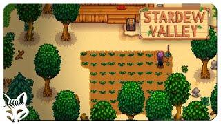 Stardew Valley Min/Max Beach Farm | IS IT POSSIBLE? | Let's Play Stardew Valley Patch 1.5 Ep 01