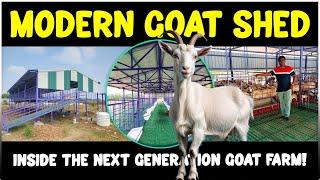 Inside the  High-tech Modern Goat Shed | KPN Roofing Shed