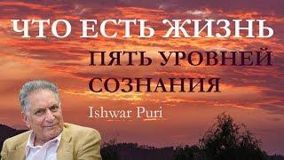 Ишвар Пури. Что есть жизнь? Пять уровней сознания