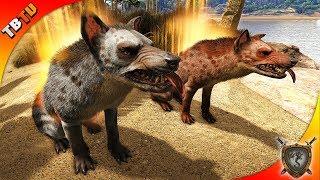  HYAENODON TAMING AND FARMING PROFESSION! Ark: Ragnarok Survival Plus E5  [Live Stream]