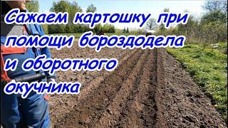 Сажаем картошку при помощи бороздодела и оборотного окучника.