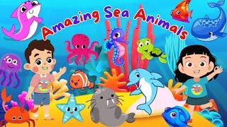 50 Amazing Sea Animals for Kids | Learn About Beautiful Sea Creatures for Children | Wiggle & Giggle