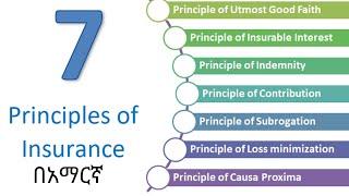 Legal principle of insurance contract | principle of insurance in Amharic