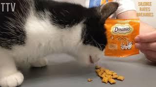 Silence the cat Rates Dreamies                         UK food treat review