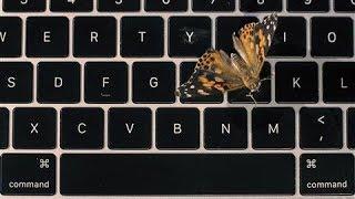 Apple's Faulty MacBook Butterfly Keyboard Explained... With Real Butterflies | WSJ