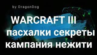 Warcraft 3 frozen throne. Easter Eggs. Пасхалки и секреты в кампании Нежить