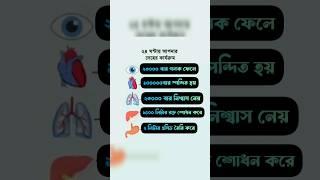 ২৪ ঘন্টায় আপনার দেহের কার্যক্রম | 24 hours body functions |