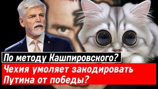 По методу Кашпировского? Чехия умоляет закодировать Путина от победы?