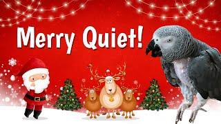 Einstein's New Holiday Classic: "Merry Quiet"