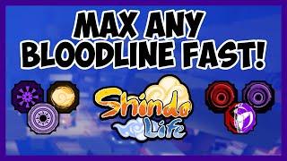 The *FASTEST* Way To MAX ANY BLOODLINE In Shindo Life! (ROBLOX)