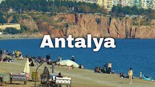 Antalya City Life: People, Sea, and Stray Animals