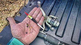 The best rig for bluegill fishing