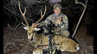 EPIC | Lanai Axis Buck Ground Blind Archery Hunt | Lanai, Hawaii 2022