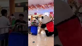 Panda & Bear Fight - Part 1- Funny Video #shorts #funny #comedy