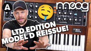 Moog Minimoog Model D 2022 Reissue! - Jack's Impressions!