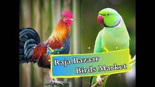 Raja Bazaar Birds Market Rawalpindi (KamranJb)