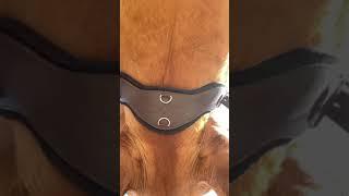 Another way to use Balance Buckle on Shoulder Relief Cinch