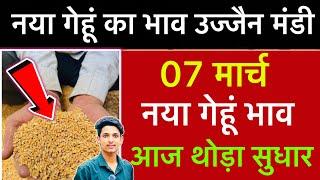 Ujjain Mandi Gehu Ka Bhav | Wheat Price Today | Ujjain Mandi Bhav Today | 7 March 2025