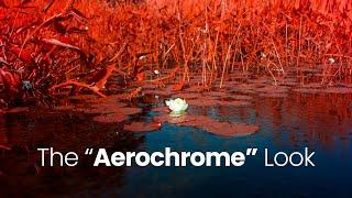 The BEST Infrared Filter IR CHROME | Digital Aerochrome