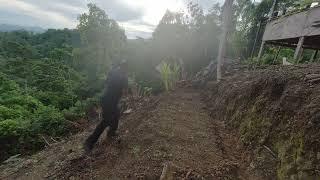 KEHIDUPAN DIGUNUNG - Membuka Lahan, & Membuat Bedengan untuk bercocok tanam