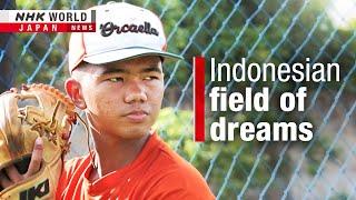 Field of dreams: youth baseball tournament in IndonesiaーNHK WORLD-JAPAN NEWS