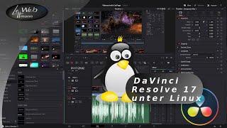 DaVinci Resolve 17 unter Linux Mint oder Ubuntu