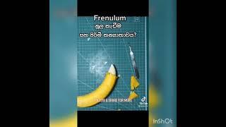 නූල කැඩීම(Frenulum)සහ ඒකට විසදුම....