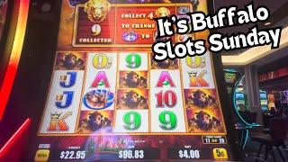 EP19: “It’s Buffalo Slots Sunday” (tally in description)