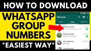  HOW TO DOWNLOAD ALL WHATSAPP GROUP CONTACTS - Copy, Save, & Export WhatsApp Group Numbers To Excel